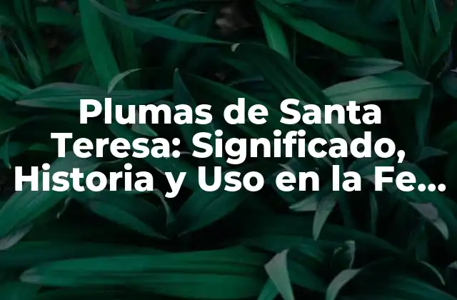 Plumas de Santa Teresa: Significado, Historia y Uso en la Fe Católica
