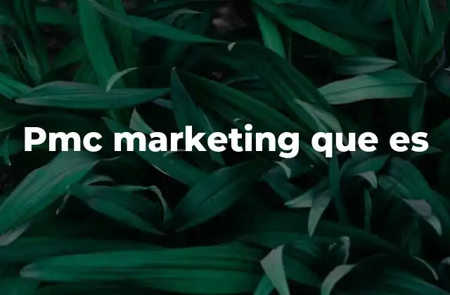 Pmc Marketing que es 2 El papel del PMc en el marketing digital