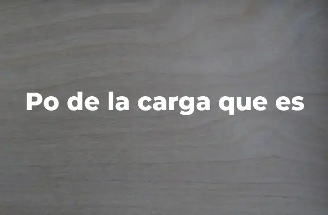 Po de la Carga que es