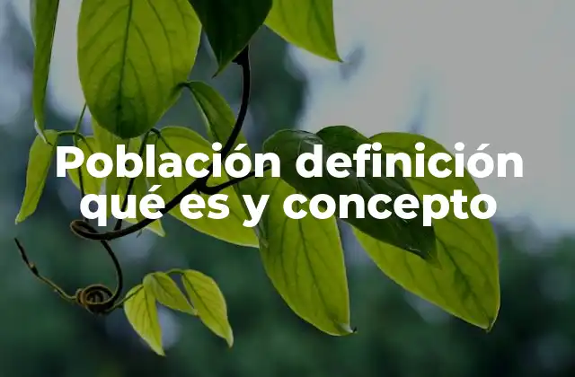 Población Definición Qué es y Concepto