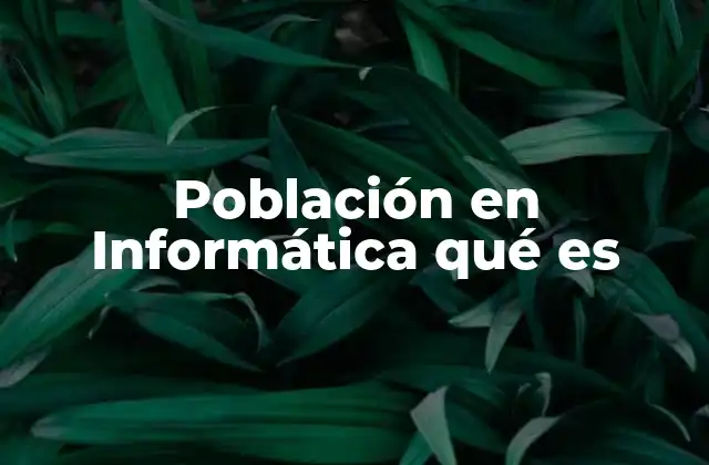 Población en Informática Qué es