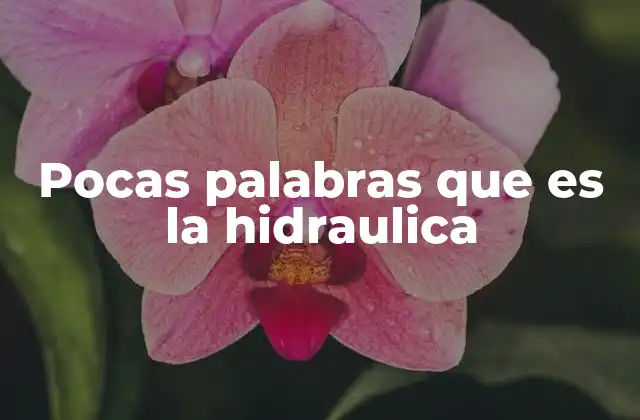 Pocas Palabras que es la Hidraulica