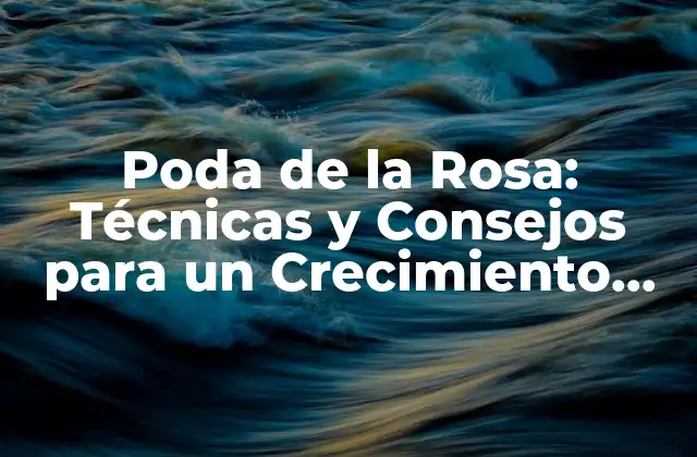 Poda de la Rosa: Técnicas y Consejos para un Crecimiento Saludable