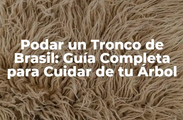 Podar un Tronco de Brasil: Guía Completa para Cuidar de Tu Árbol