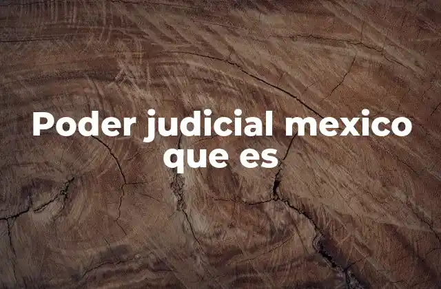 Poder Judicial Mexico que es 2 La importancia del poder judicial en el equilibrio de poderes