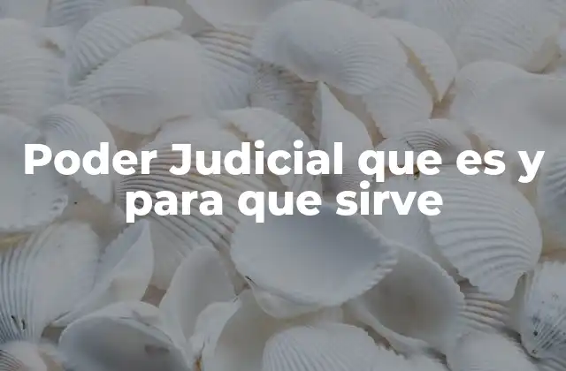 Poder Judicial que es y para que Sirve 2 El rol del Poder Judicial en la organización del Estado