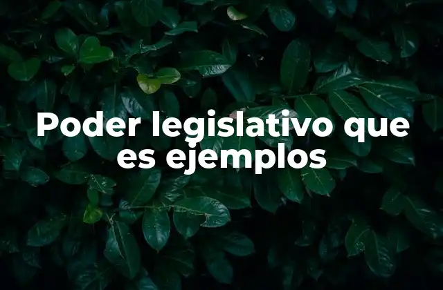 Poder Legislativo que es Ejemplos