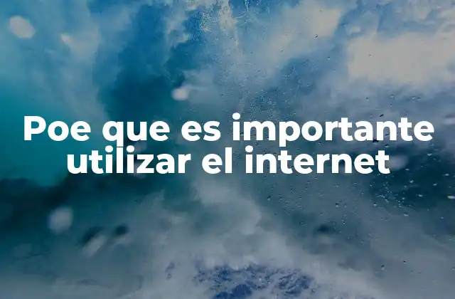 Poe que es Importante Utilizar el Internet