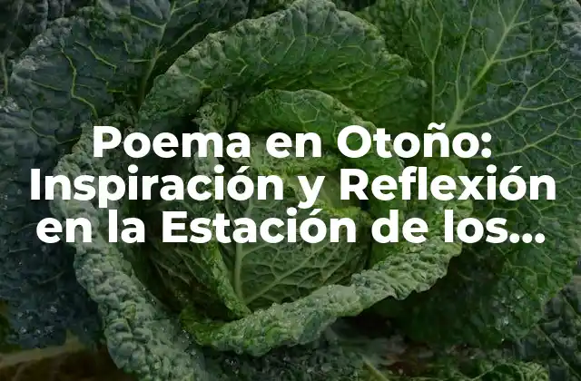 Poema en Otoño: Inspiración y Reflexión en la Estación de los Cambios
