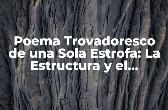Poema Trovadoresco de una Sola Estrofa: la Estructura y el Significado
