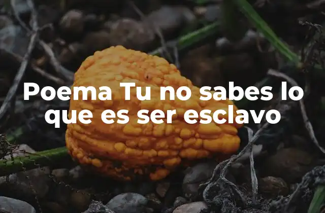 Poema Tu No Sabes Lo que es Ser Esclavo