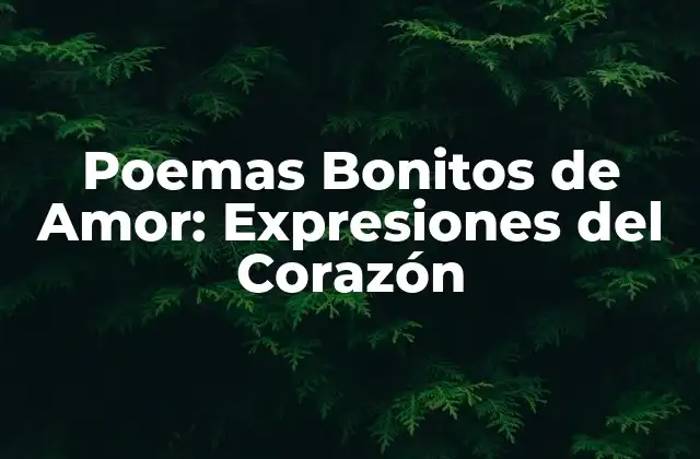 Poemas Bonitos de Amor: Expresiones Del Corazón