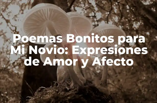 Poemas Bonitos para Mi Novio: Expresiones de Amor y Afecto
