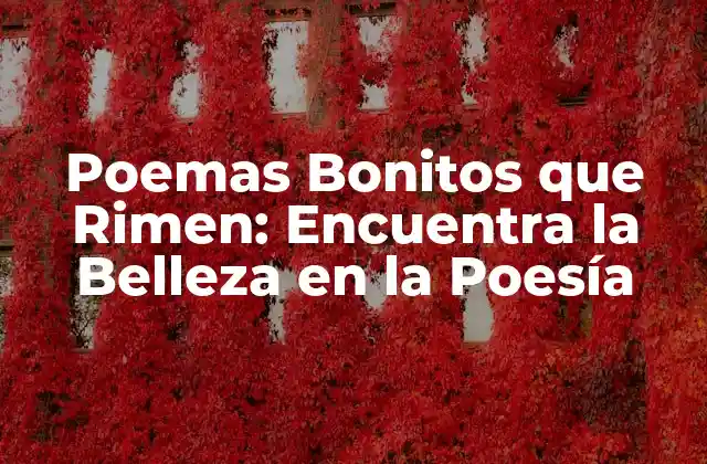 Poemas Bonitos que Rimen: Encuentra la Belleza en la Poesía