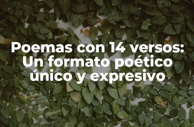 Poemas con 14 Versos: un Formato Poético Único y Expresivo