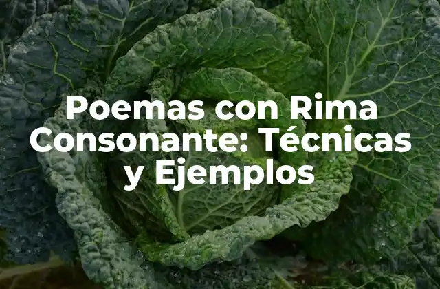 Poemas con Rima Consonante: Técnicas y Ejemplos