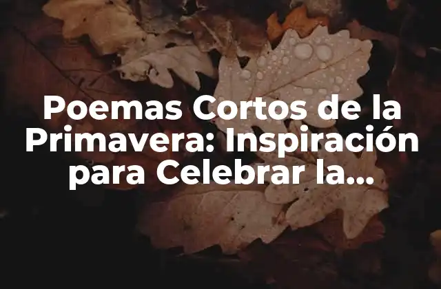 Poemas Cortos de la Primavera: Inspiración para Celebrar la Estación