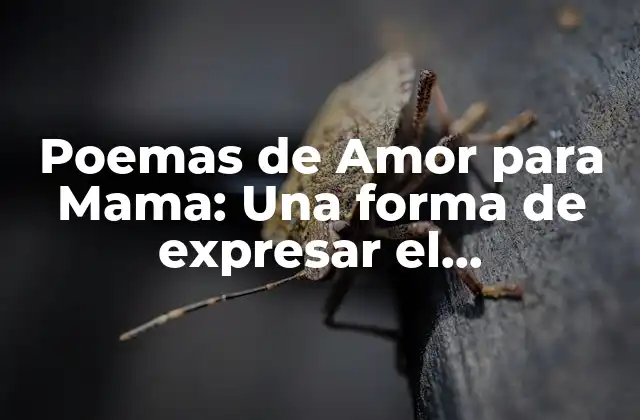 Poemas de Amor para Mama: una Forma de Expresar el Agradecimiento 2 ¿Por qué la poesía es una forma perfecta de expresar el amor hacia nuestra madre?