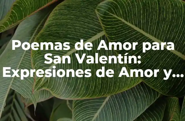 Poemas de Amor para San Valentín: Expresiones de Amor y Pasión