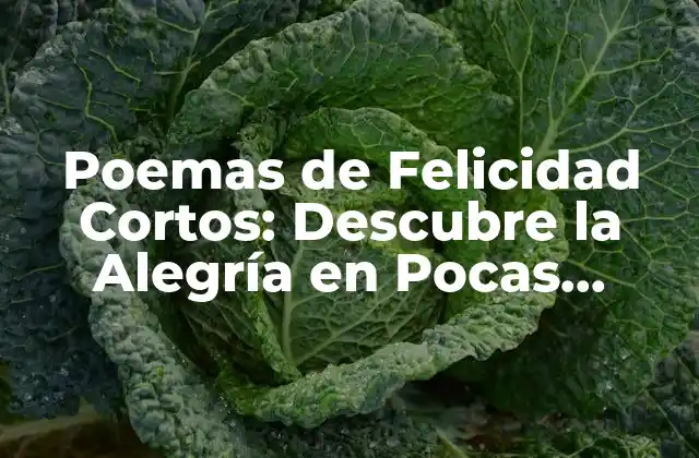 Poemas de Felicidad Cortos: Descubre la Alegría en Pocas Palabras
