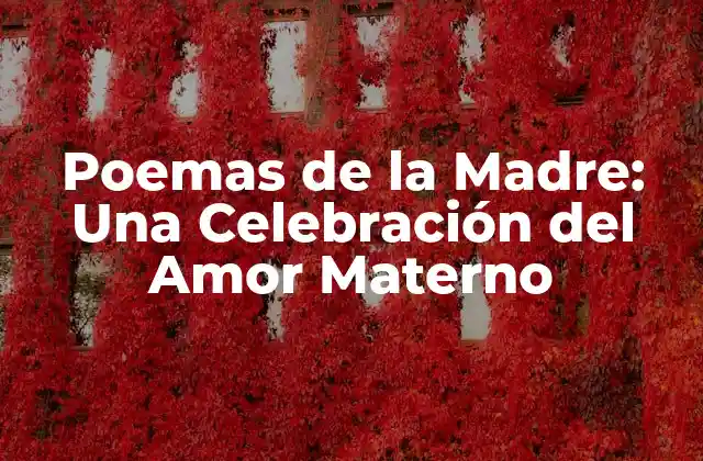 Poemas de la Madre: una Celebración Del Amor Materno