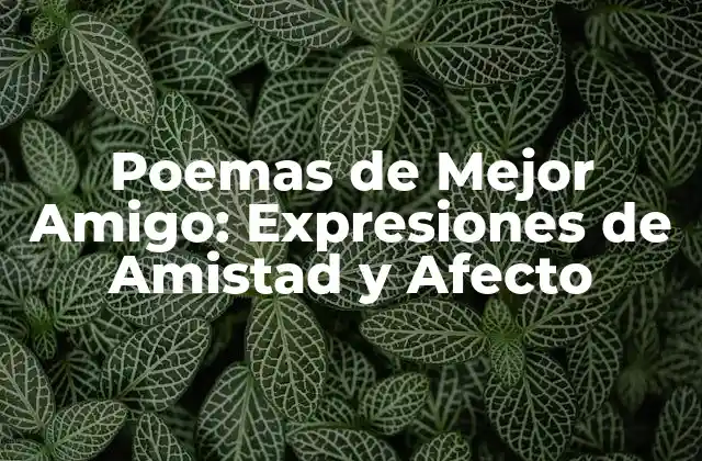 Poemas de Mejor Amigo: Expresiones de Amistad y Afecto