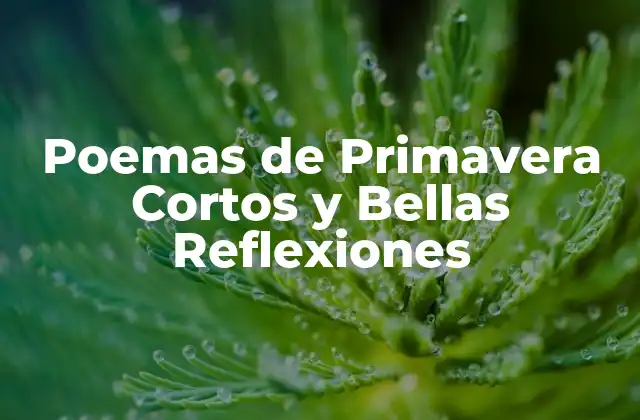 Poemas de Primavera Cortos y Bellas Reflexiones 2 Características de los Poemas de Primavera Cortos