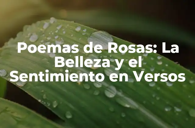 Poemas de Rosas: la Belleza y el Sentimiento en Versos 2 La Historia de los Poemas de Rosas
