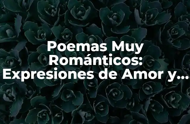 Poemas Muy Románticos: Expresiones de Amor y Pasion