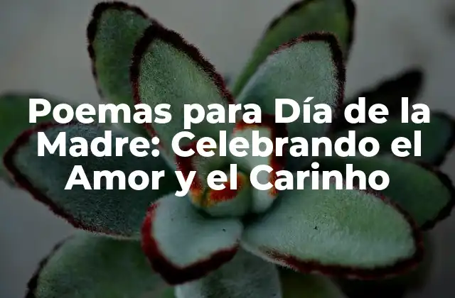 Poemas para Día de la Madre: Celebrando el Amor y el Carinho