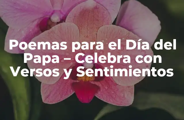 Poemas para el Día Del Papa – Celebra con Versos y Sentimientos