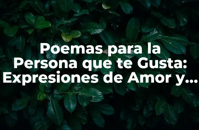 Poemas para la Persona que Te Gusta: Expresiones de Amor y Admiración