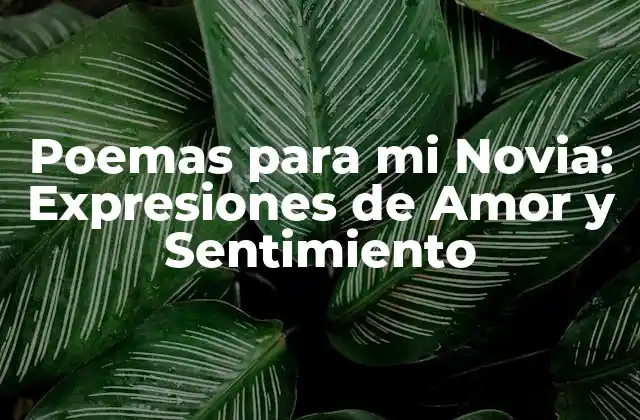 Poemas para Mi Novia: Expresiones de Amor y Sentimiento