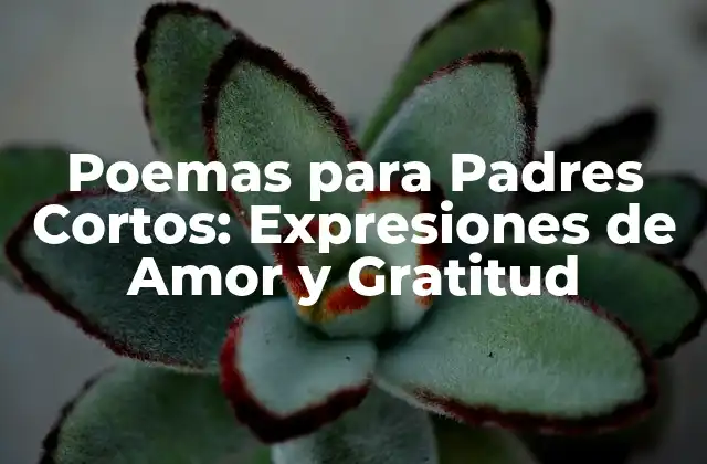 Poemas para Padres Cortos: Expresiones de Amor y Gratitud