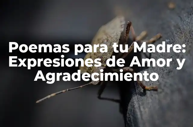 Poemas para Tu Madre: Expresiones de Amor y Agradecimiento