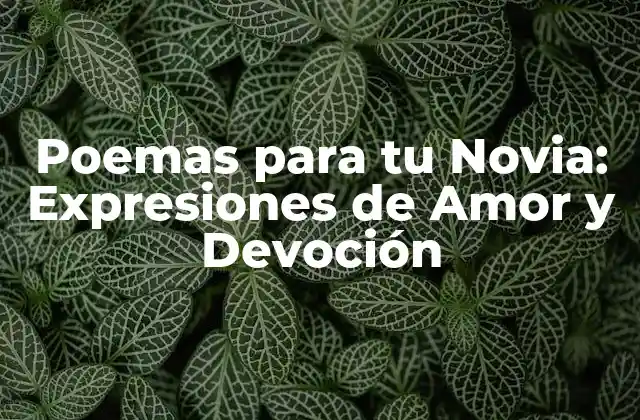 Poemas para Tu Novia: Expresiones de Amor y Devoción
