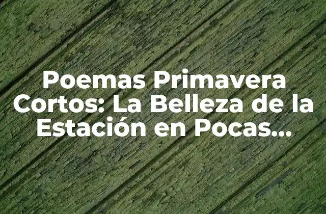 Poemas Primavera Cortos: la Belleza de la Estación en Pocas Palabras