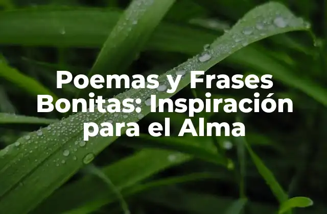 Poemas y Frases Bonitas: Inspiración para el Alma