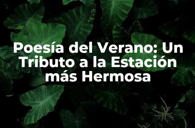 Poesía Del Verano: un Tributo a la Estación Más Hermosa