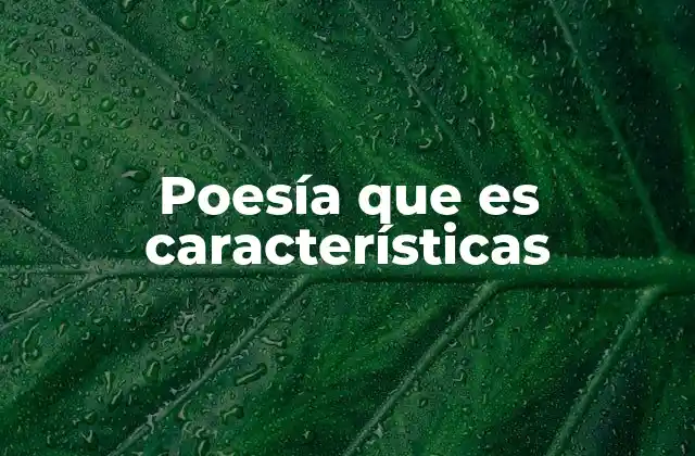 Poesía que es Características