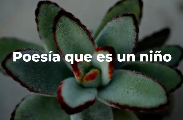 Poesía que es un Niño