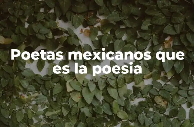 Poetas Mexicanos que es la Poesia