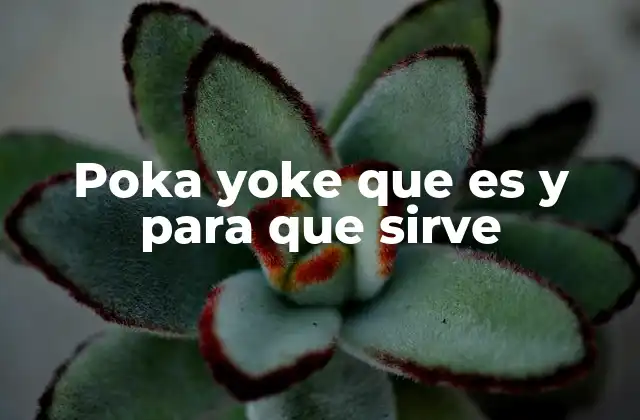 Poka Yoke que es y para que Sirve