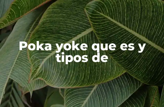 Poka Yoke que es y Tipos de