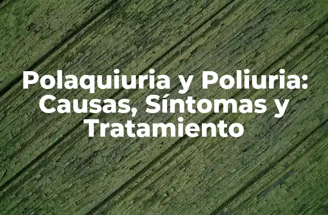 Polaquiuria y Poliuria: Causas, Síntomas y Tratamiento