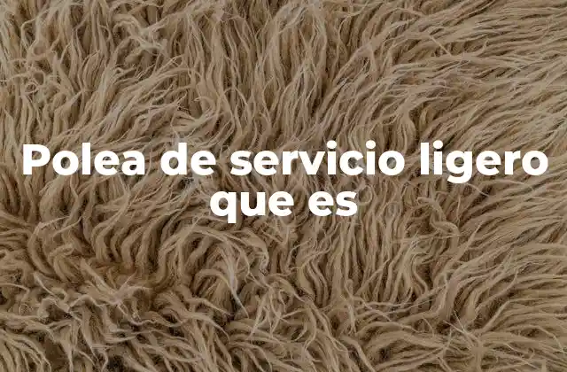 Polea de Servicio Ligero que es