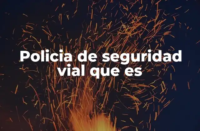 Policia de Seguridad Vial que es