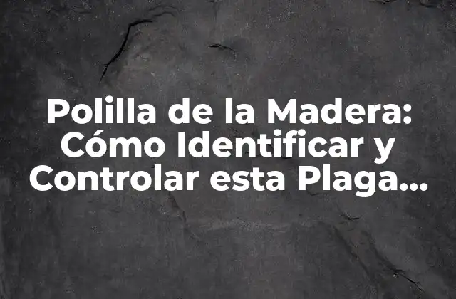 Polilla de la Madera: Cómo Identificar y Controlar Esta Plaga Común