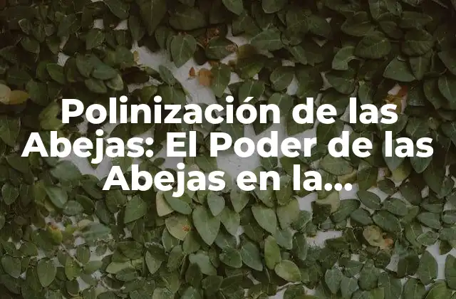 Polinización de las Abejas: el Poder de las Abejas en la Producción de Alimentos