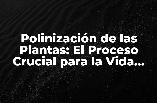 Polinización de las Plantas: el Proceso Crucial para la Vida Vegetal
